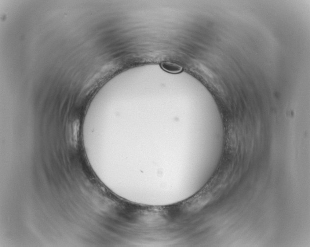 X0000088910118200706291539