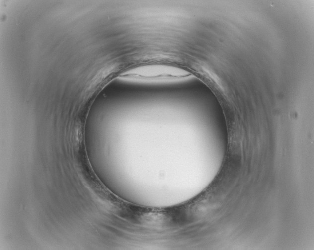 X0000088910119200706291539