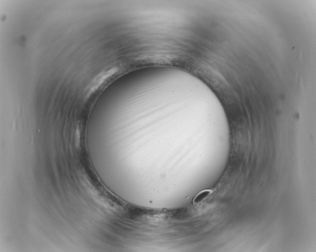 X0000088910120200706291539