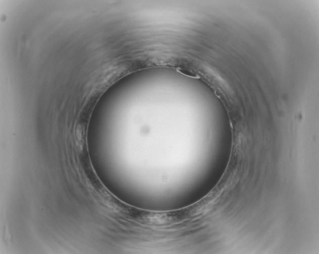 X0000088910121200706291539