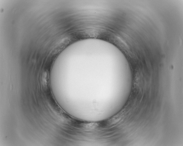 X0000088910122200706291539