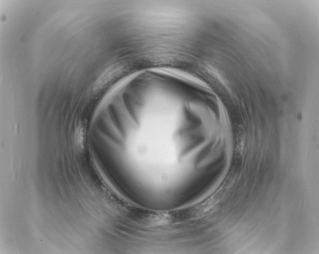 X0000088910124200706291539