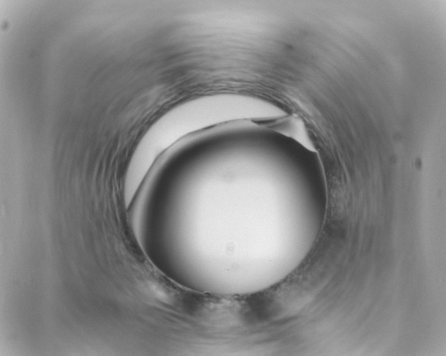 X0000088910125200706291539