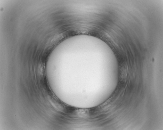 X0000088910126200706291539