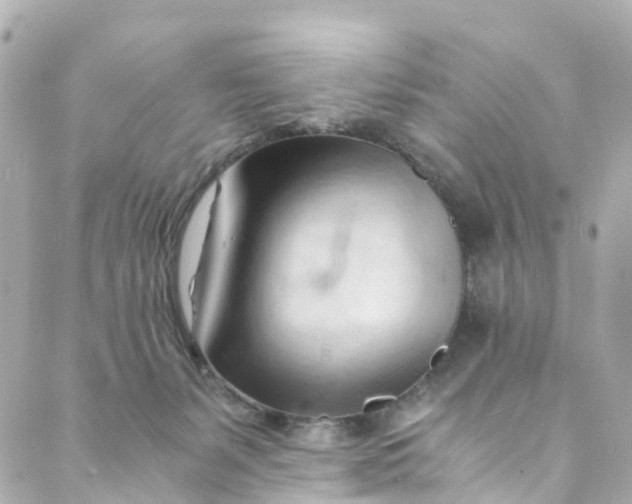 X0000088910127200706291539