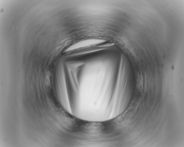 X0000088910128200706291539