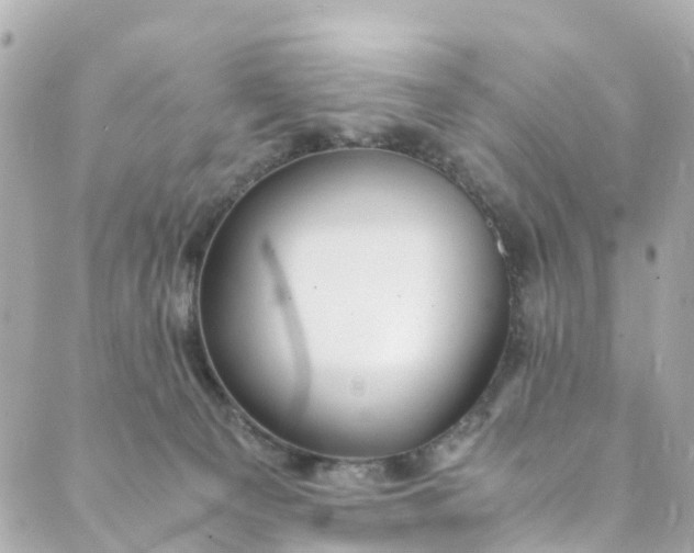 X0000088910129200706291539