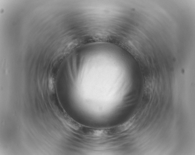 X0000088910130200706291539