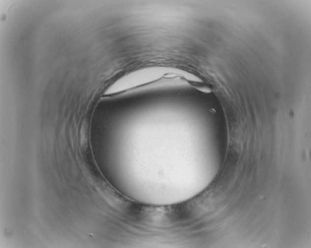 X0000088910131200706291539