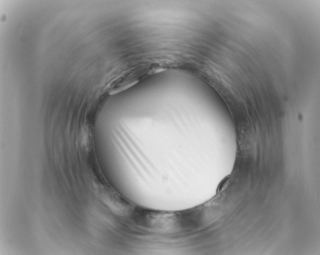 X0000088910132200706291539