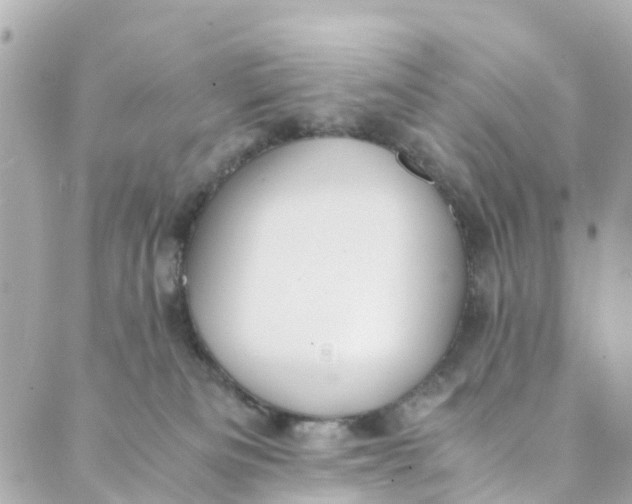 X0000088910133200706291539