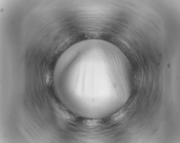 X0000088910134200706291539