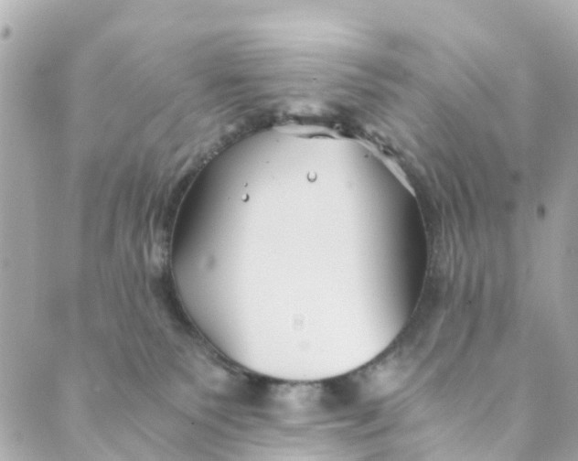 X0000088910135200706291539