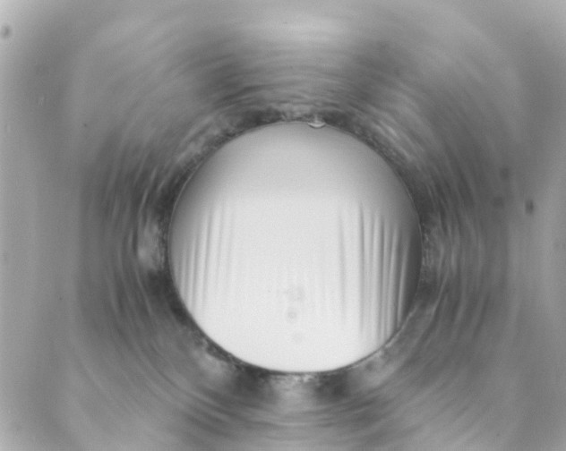 X0000088910136200706291539