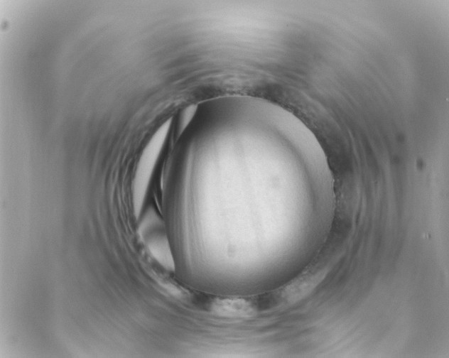 X0000088910137200706291539