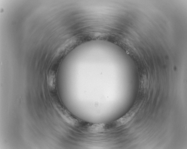 X0000088910138200706291539