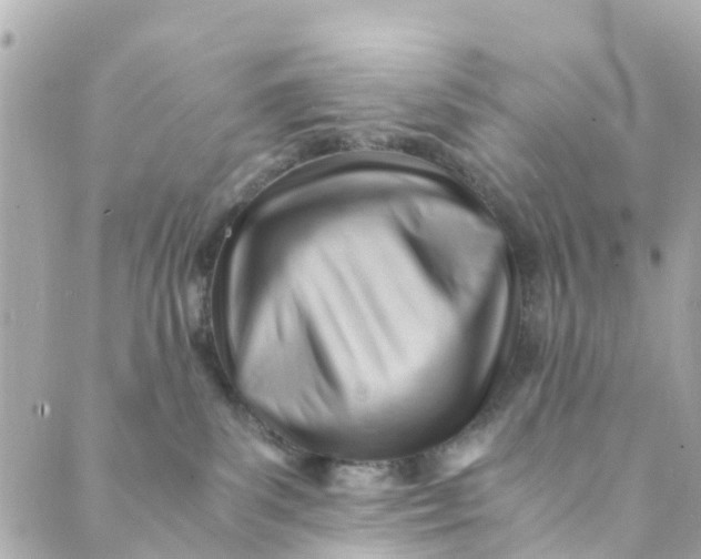 X0000088910139200706291539