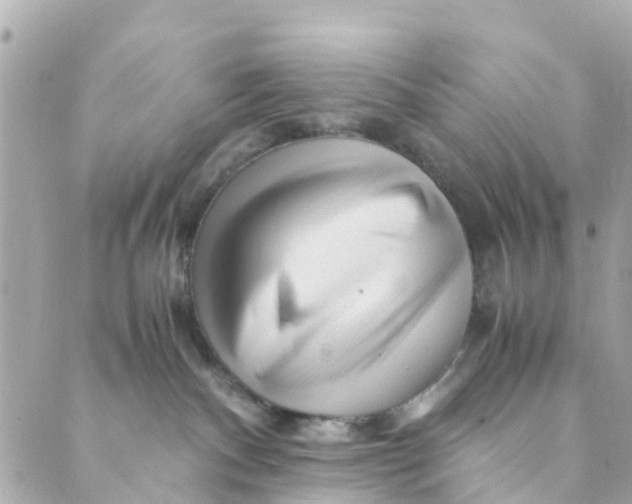 X0000088910140200706291539