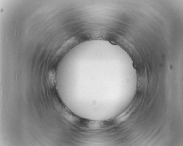 X0000088910142200706291539