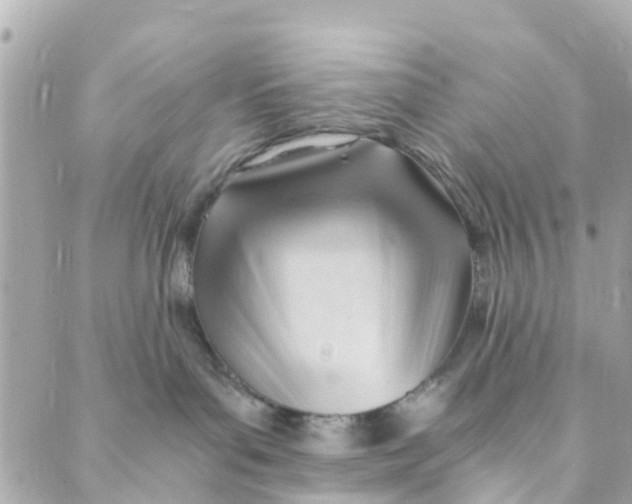 X0000088910143200706291539