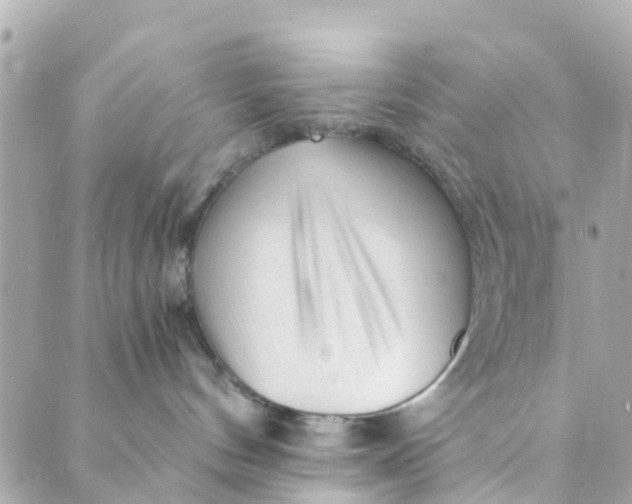 X0000088910144200706291539