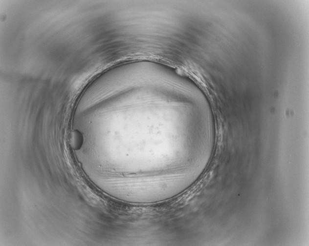 X0000088910145200706291538