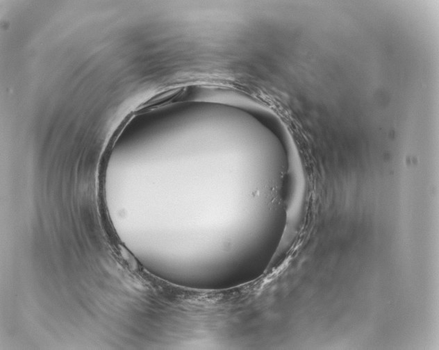 X0000088910148200706291538