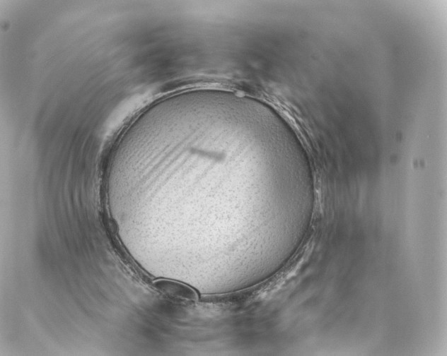 X0000088910149200706291538