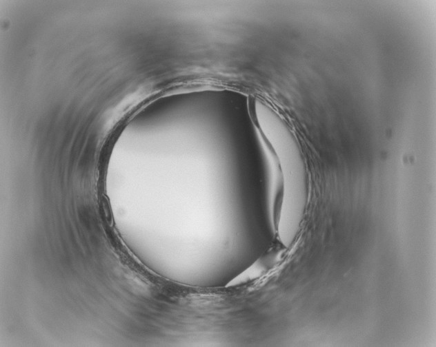 X0000088910150200706291538