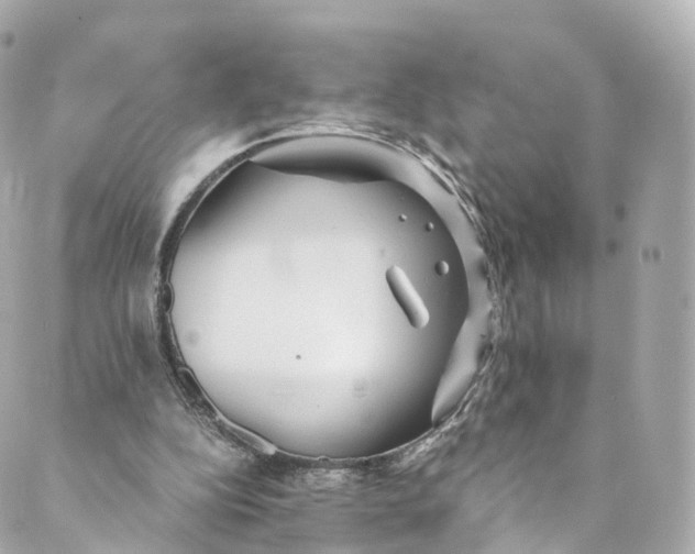 X0000088910152200706291538