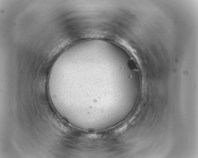 X0000088910153200706291538