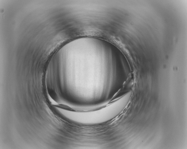 X0000088910154200706291538