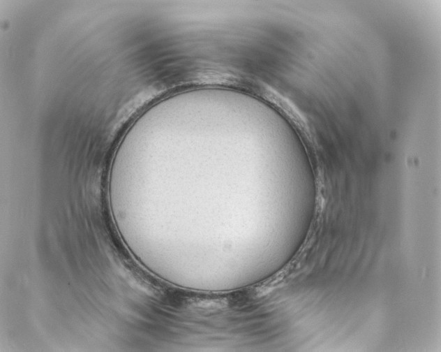 X0000088910155200706291538