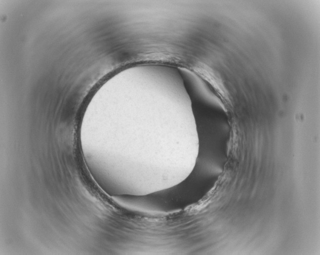 X0000088910156200706291538