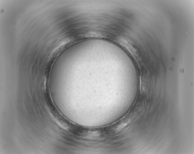 X0000088910157200706291538