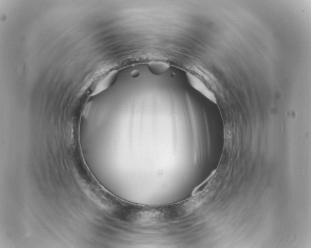 X0000088910158200706291538