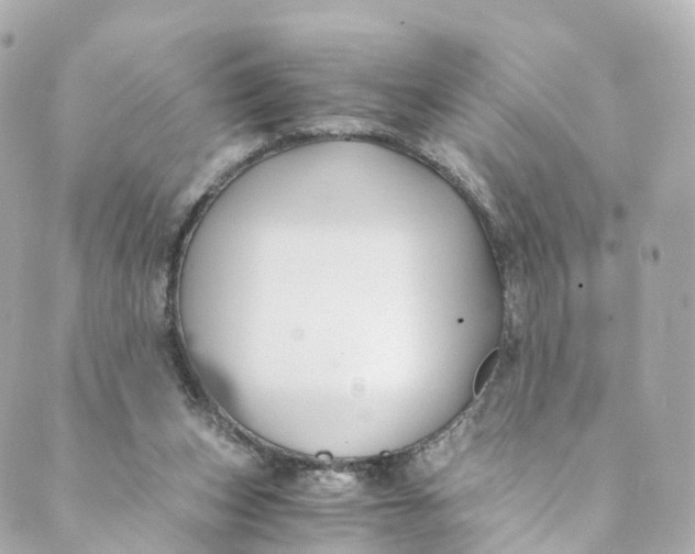 X0000088910159200706291538