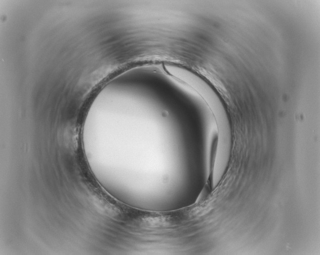 X0000088910160200706291538