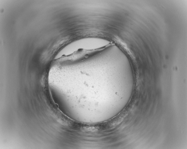 X0000088910161200706291538