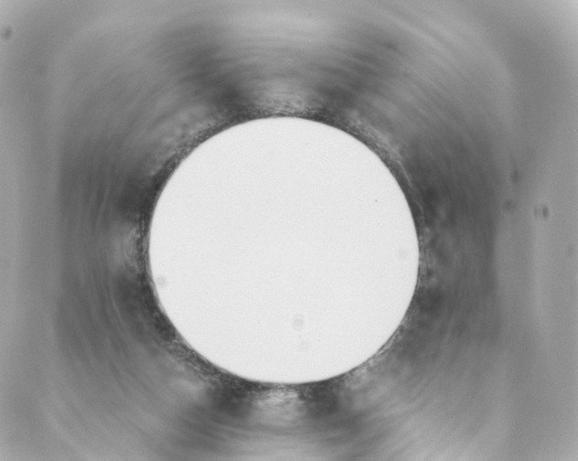 X0000088910162200706291538