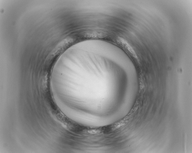 X0000088910163200706291538