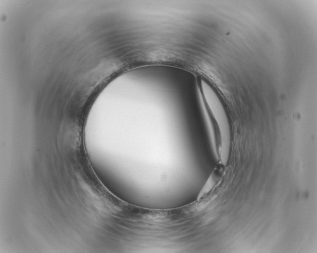 X0000088910164200706291538