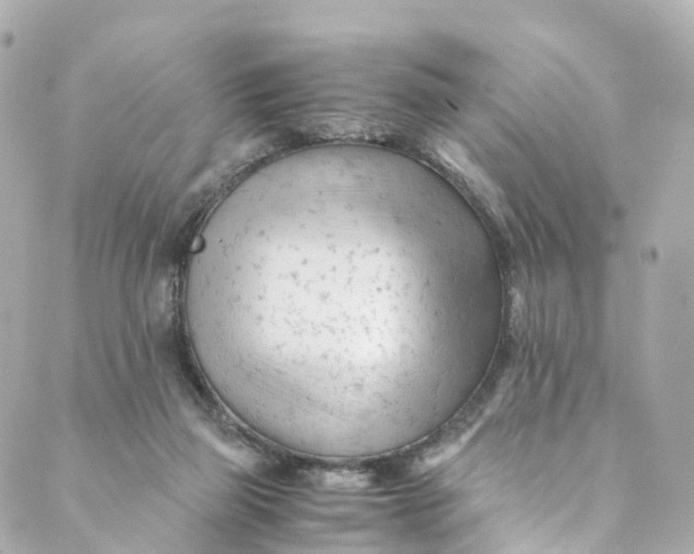 X0000088910165200706291538