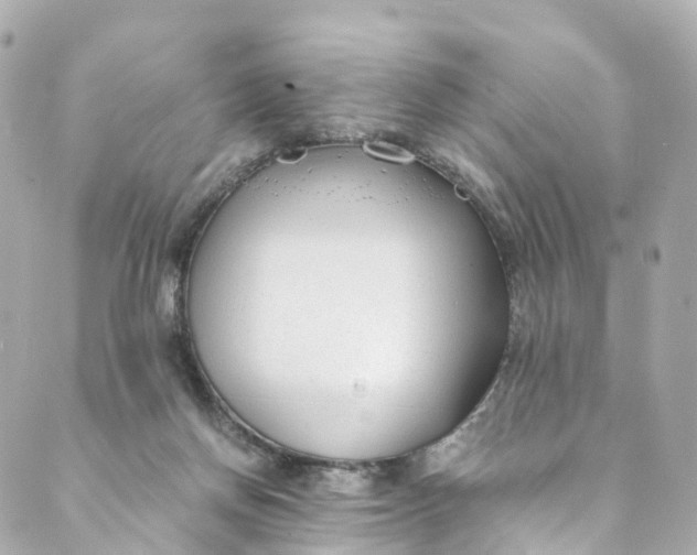 X0000088910166200706291538