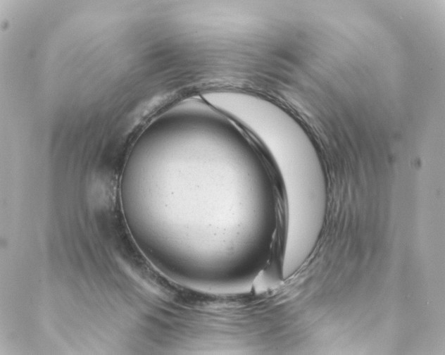 X0000088910168200706291538