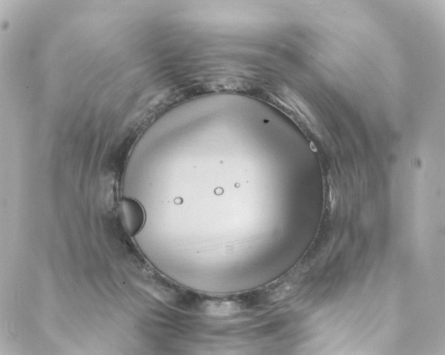 X0000088910169200706291538