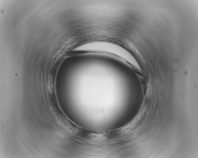 X0000088910170200706291538