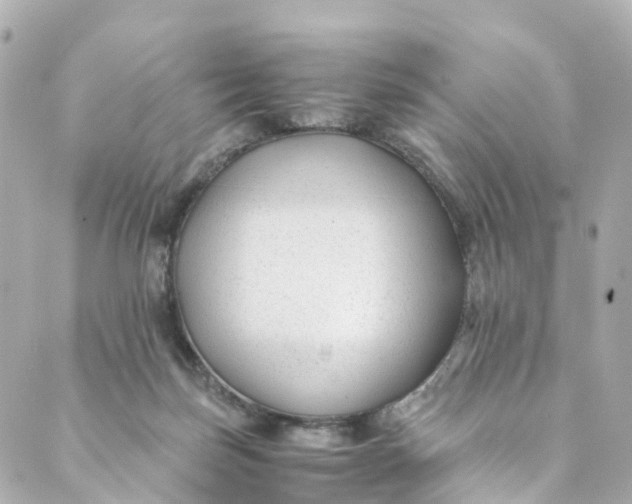 X0000088910171200706291538