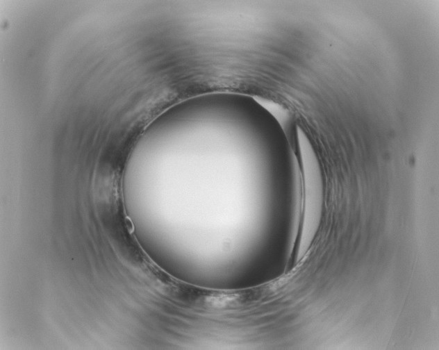 X0000088910172200706291538