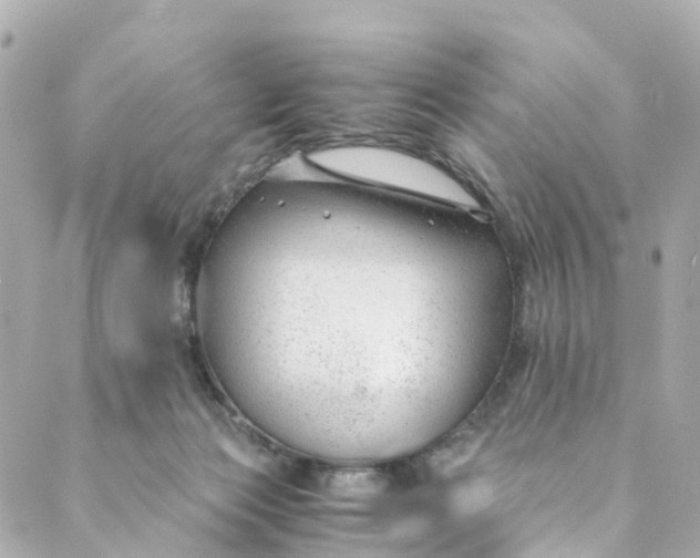 X0000088910173200706291538